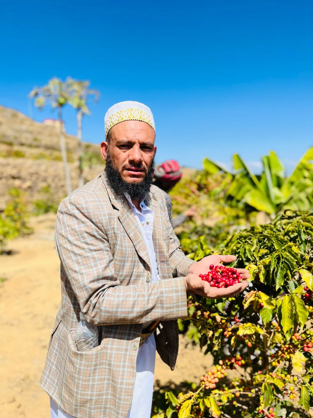 A farmer holding a handful of bright red coffee cherry beside the trees